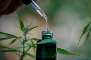 CBD oil for weight loss.