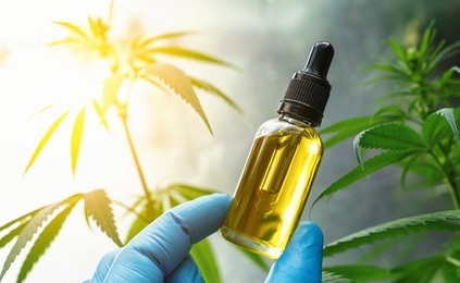 Possible anti-inflammatory, reduced heart disease, dementia prevention effects of cbd